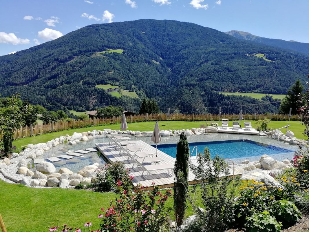 Naturpool3
